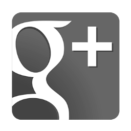 Google+